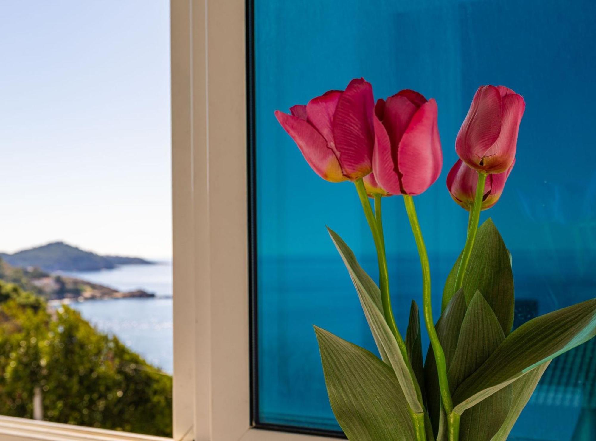 Apartment Butterfly Dubrovnik Buitenkant foto